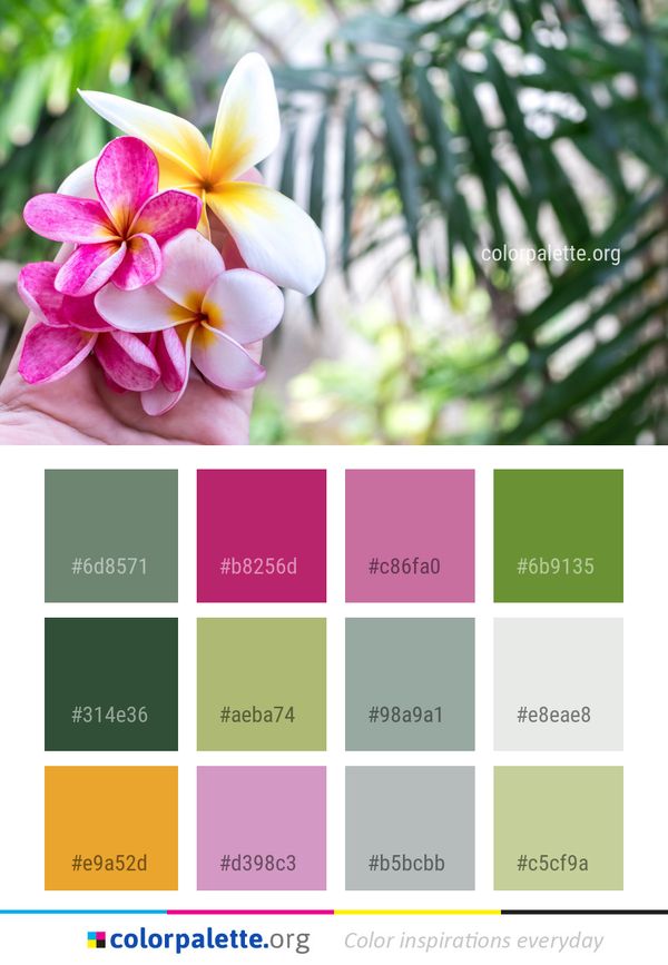 Flower Flora Pink Color Palette