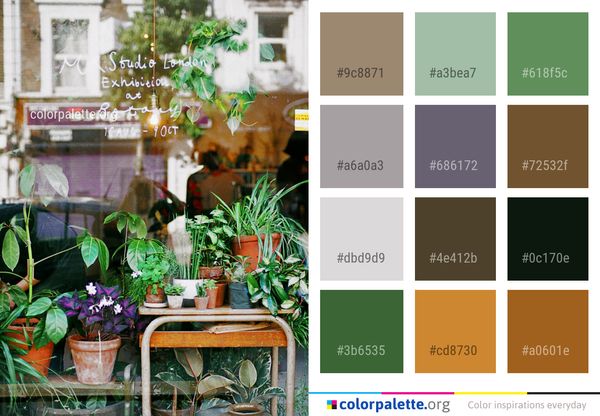 Flower Plant Floristry Color Palette