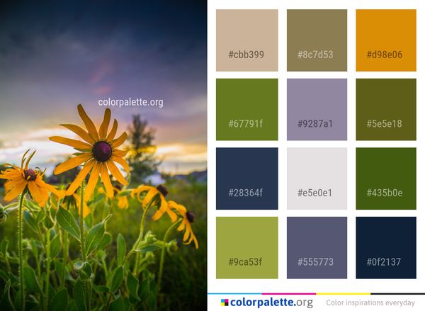 Flower Yellow Plant Color Palette