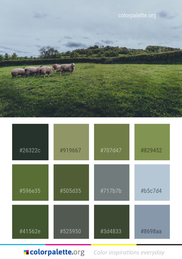 Grassland Pasture Highland Color Palette