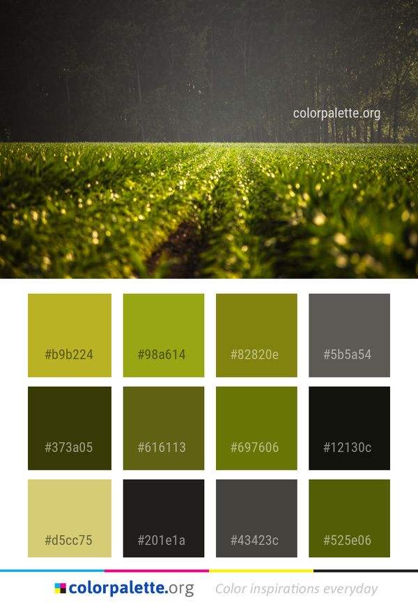 Green Grass Atmosphere Color Palette