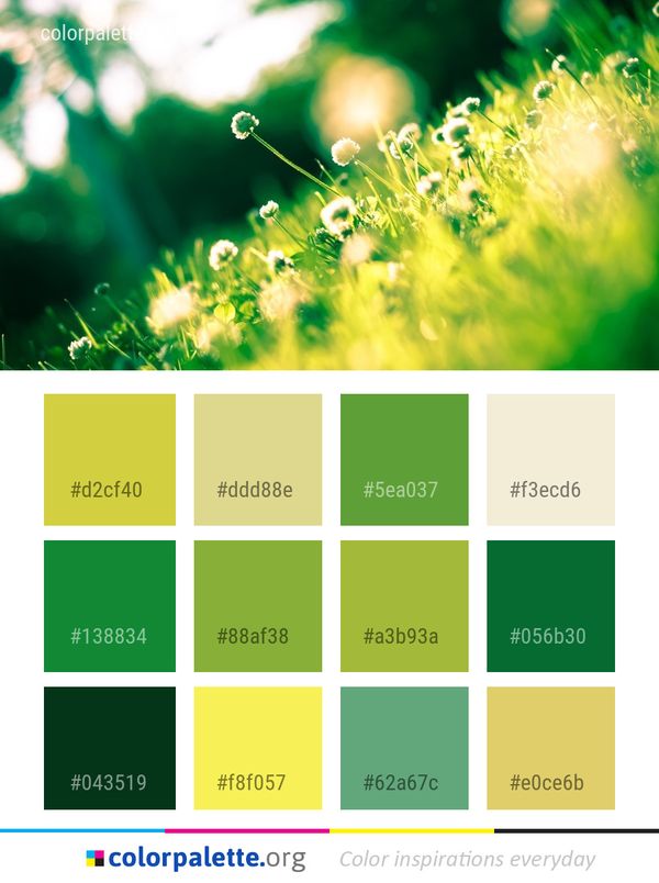 Green Water Grass Color Palette