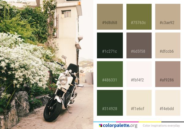 Land Vehicle Plant Color Palette