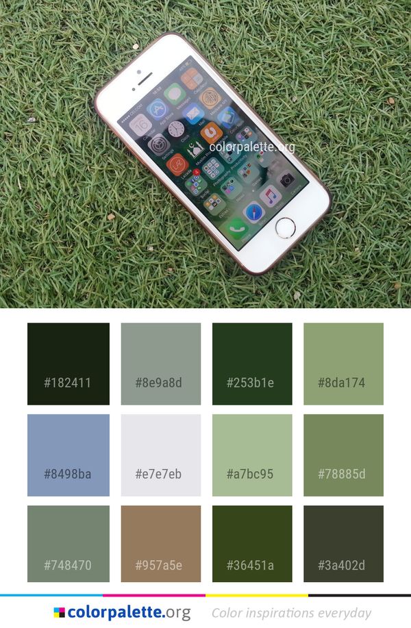 Mobile Phone Gadget Technology Color Palette