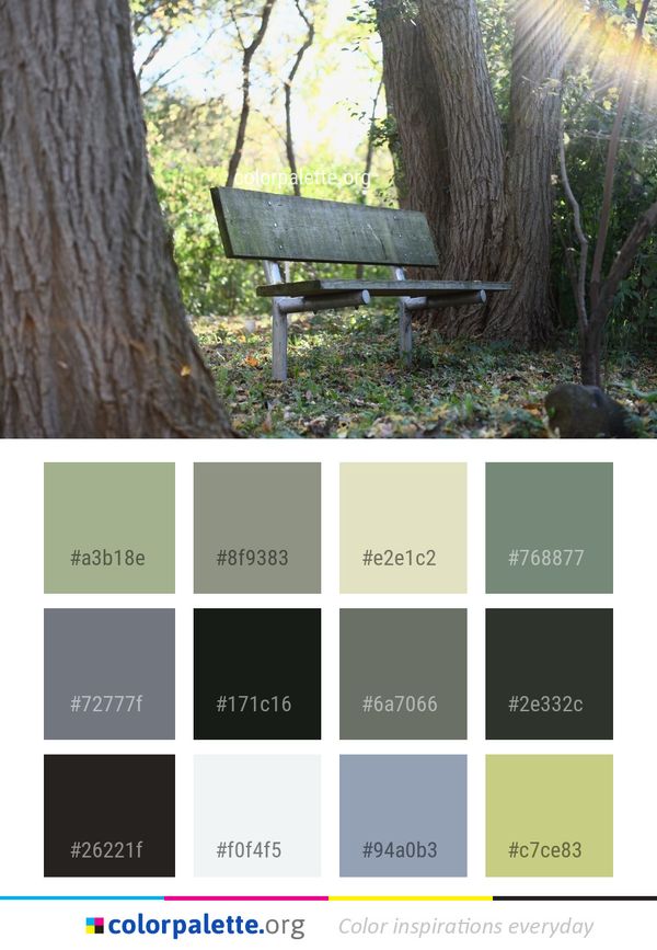 Nature Reserve Tree Woodland Color Palette