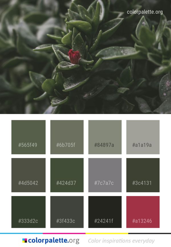Plant Flora Leaf Color Palette
