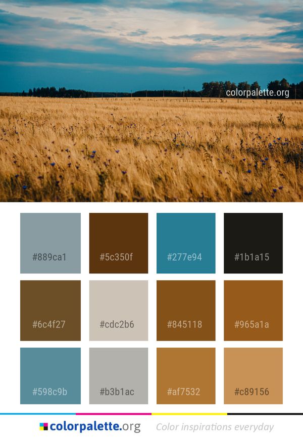 Sky Field Ecosystem Color Palette