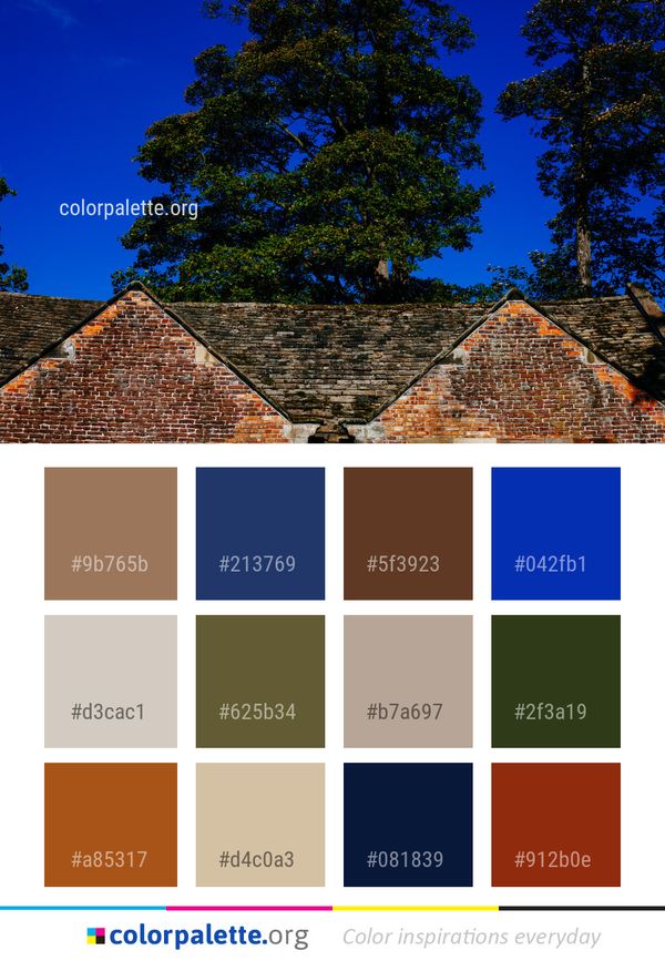 Sky Tree Nature Color Palette