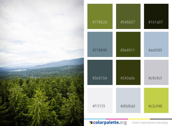 Sky Vegetation Nature Color Palette