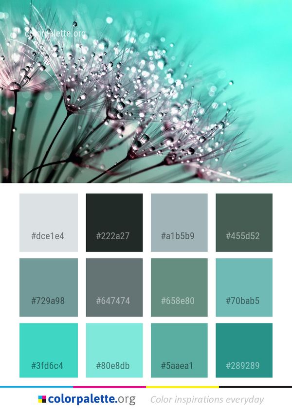 Water Dew Close Up Color Palette