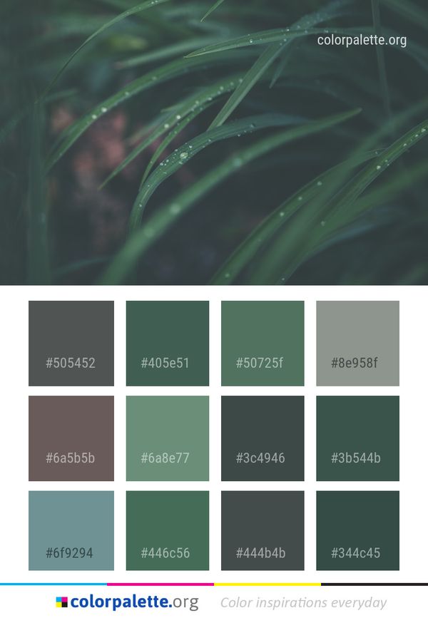 Water Green Dew Color Palette