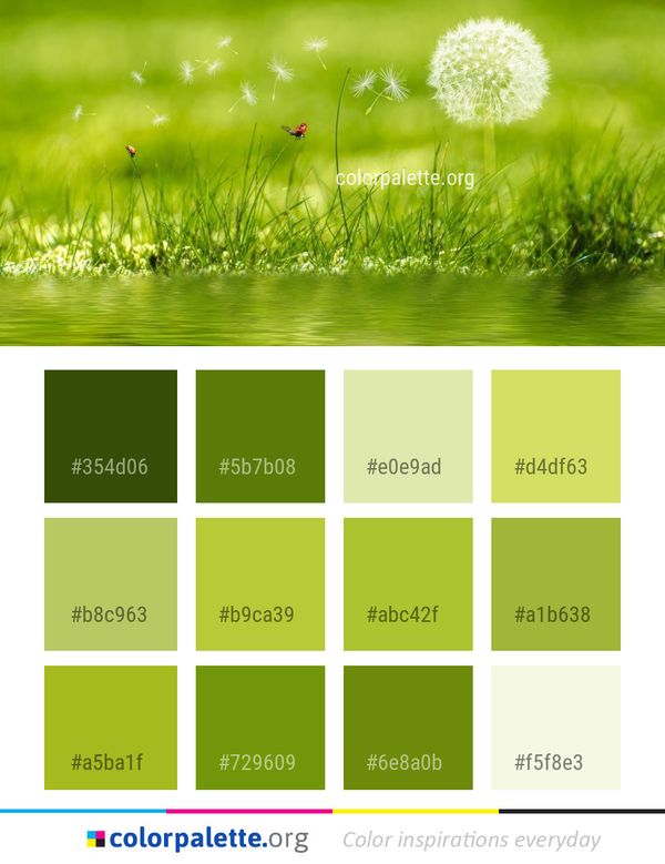 Water Green Vegetation Color Palette