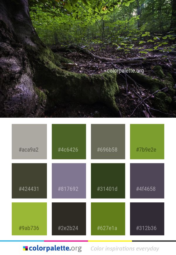 Woodland Nature Vegetation Color Palette