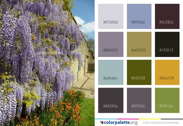 Flower Plant Flora Color Palette