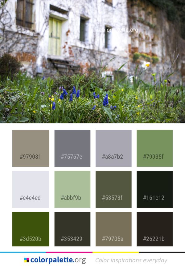 Flower Plant Spring Color Palette