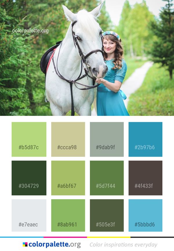 Horse Bridle Rein Color Palette
