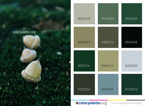 Leaf Close Up Grass Color Palette