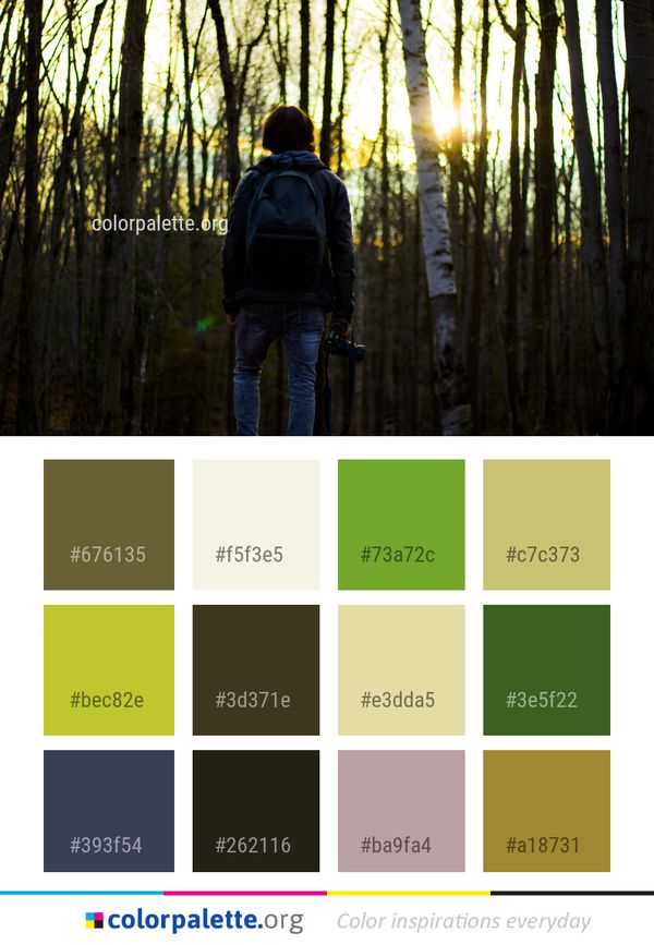 Nature Tree Forest Color Palette