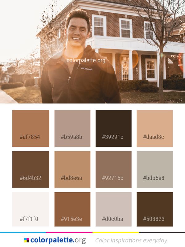 Photograph Tree House Color Palette