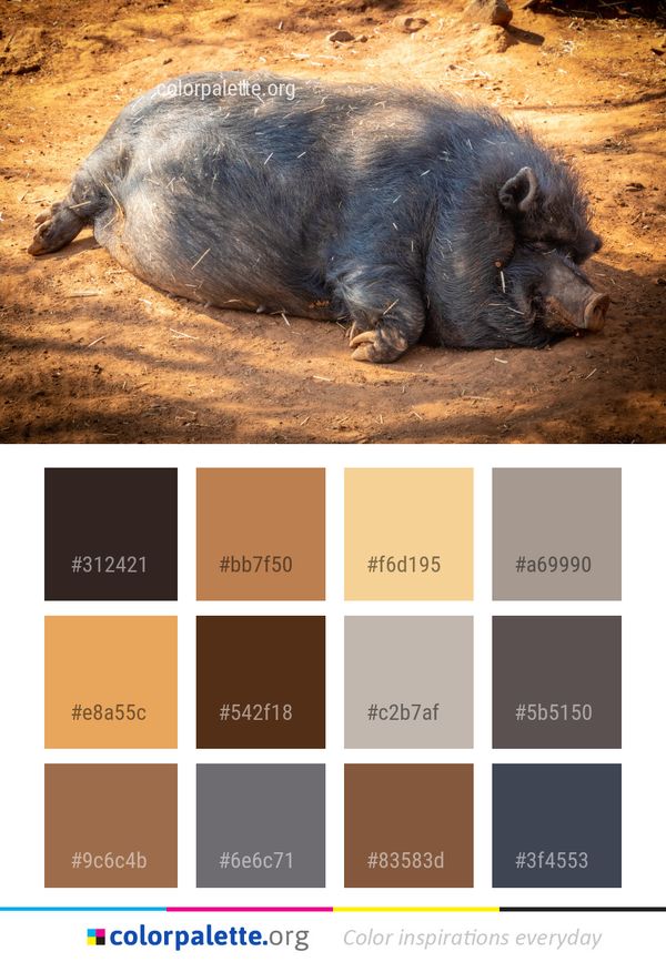 Pig Like Mammal Color Palette