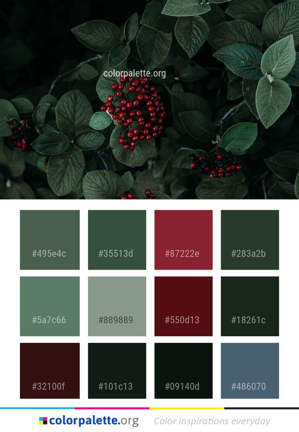 Plant Flora Leaf Color Palette