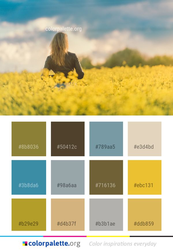 Sky Rapeseed Yellow Color Palette