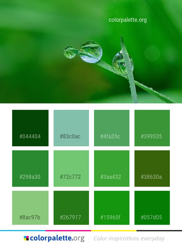 Water Dew Drop Color Palette