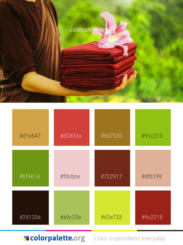 Flower Flora Plant Color Palette