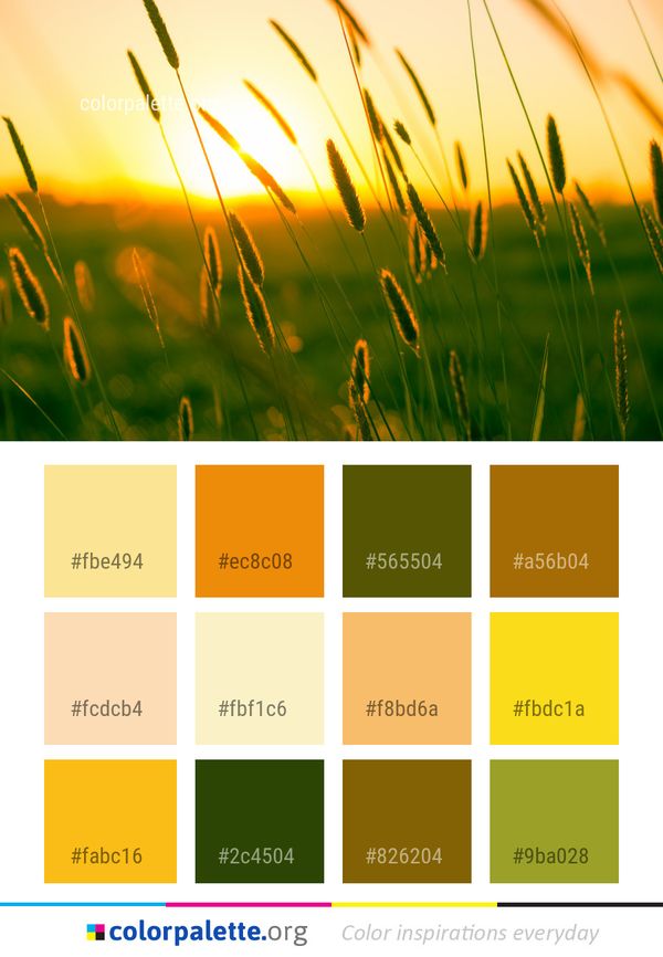 Grass Sky Grassland Color Palette