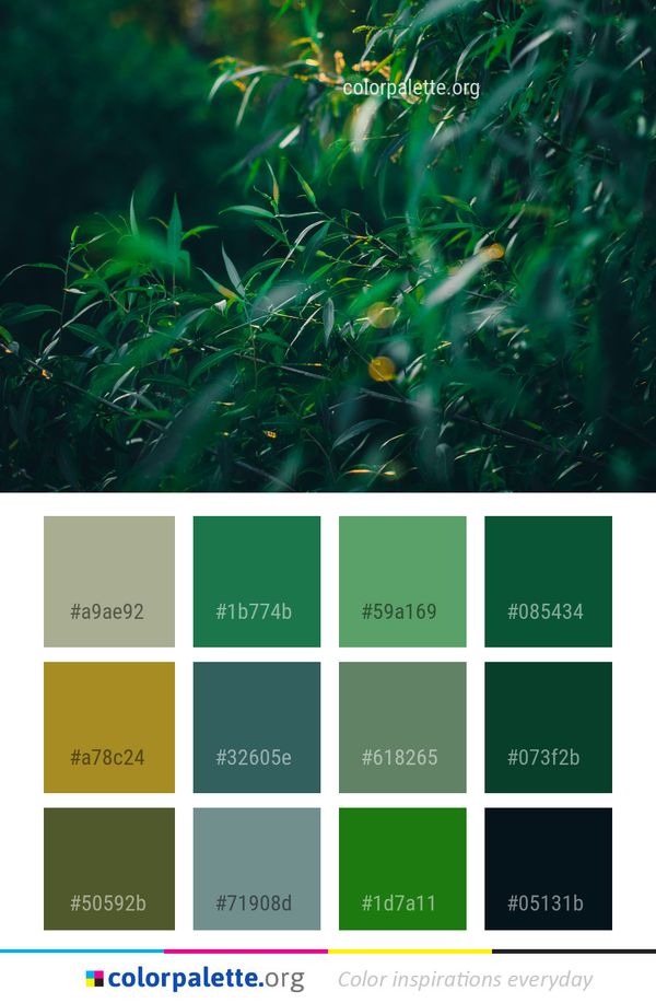 Green Vegetation Ecosystem Color Palette