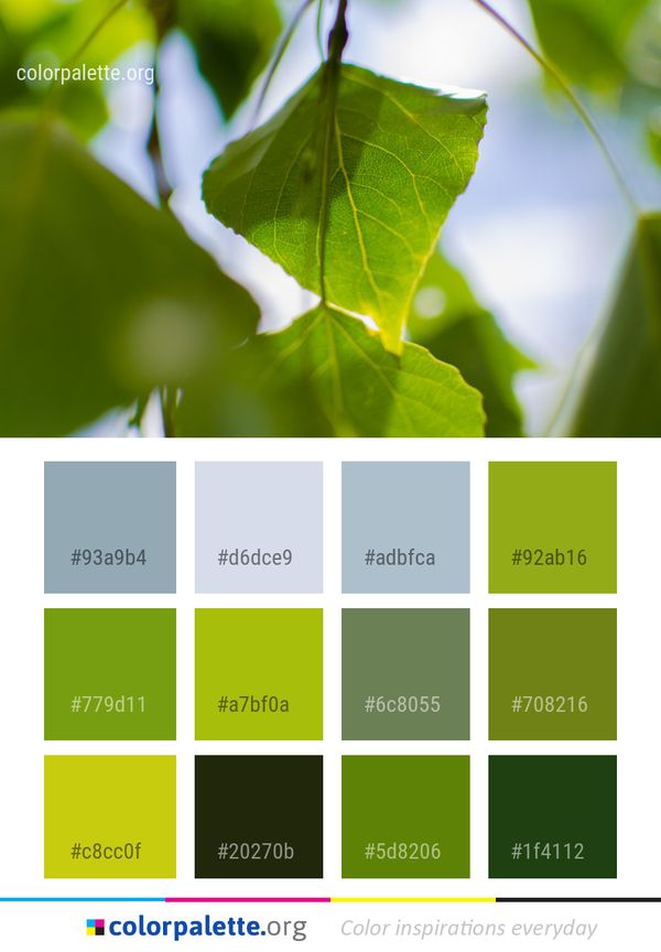 Leaf Green Light Color Palette