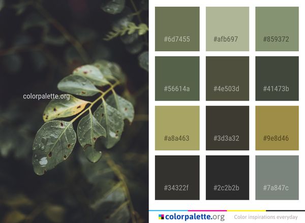 Leaf Water Flora Color Palette