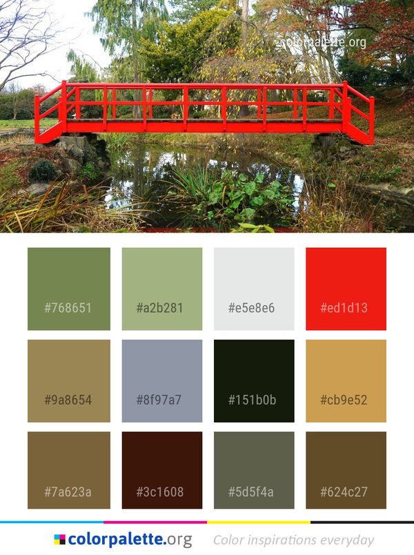 Nature Reserve Tree Color Palette