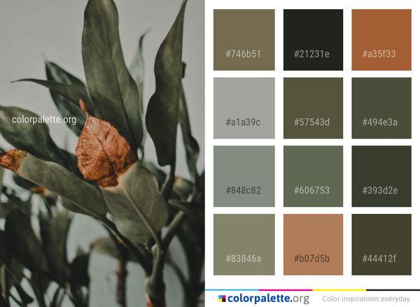 Plant Leaf Flower Color Palette