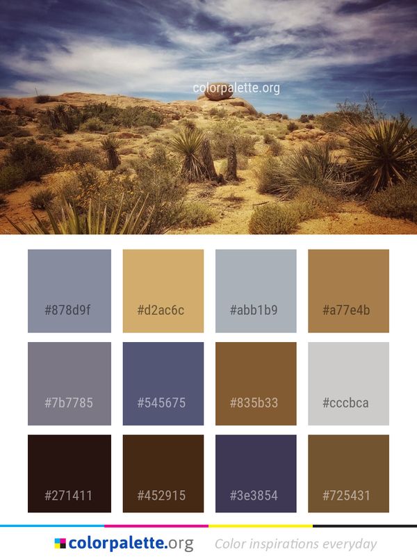 Sky Ecosystem Vegetation Color Palette