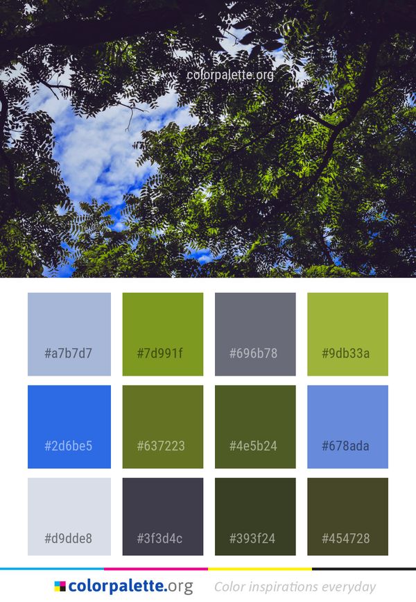 Sky Nature Tree Color Palette