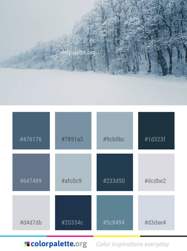 Snow Winter Frost Color Palette