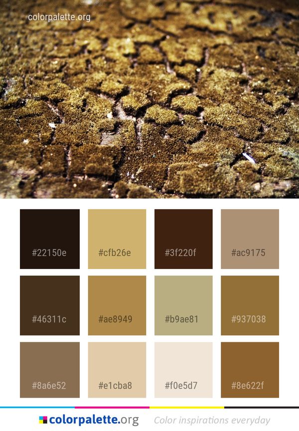 Soil Organism Rock Color Palette