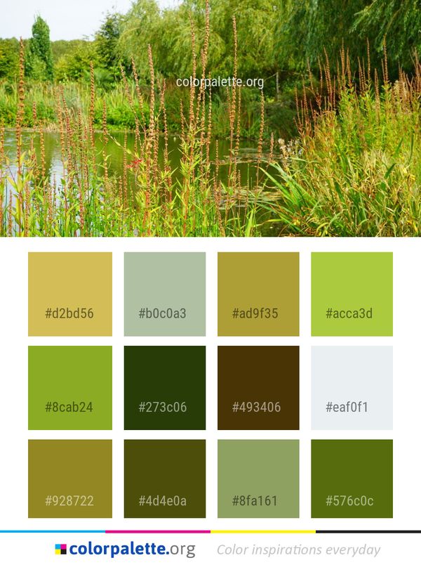 Vegetation Ecosystem Nature Reserve Color Palette
