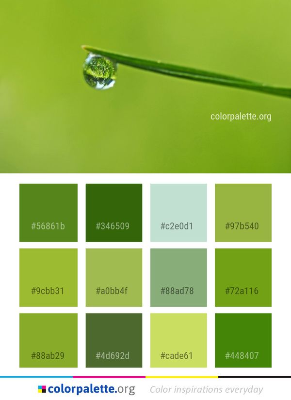 Water Dew Green Color Palette