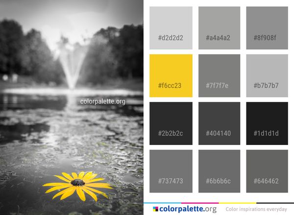 Water Nature Yellow Color Palette