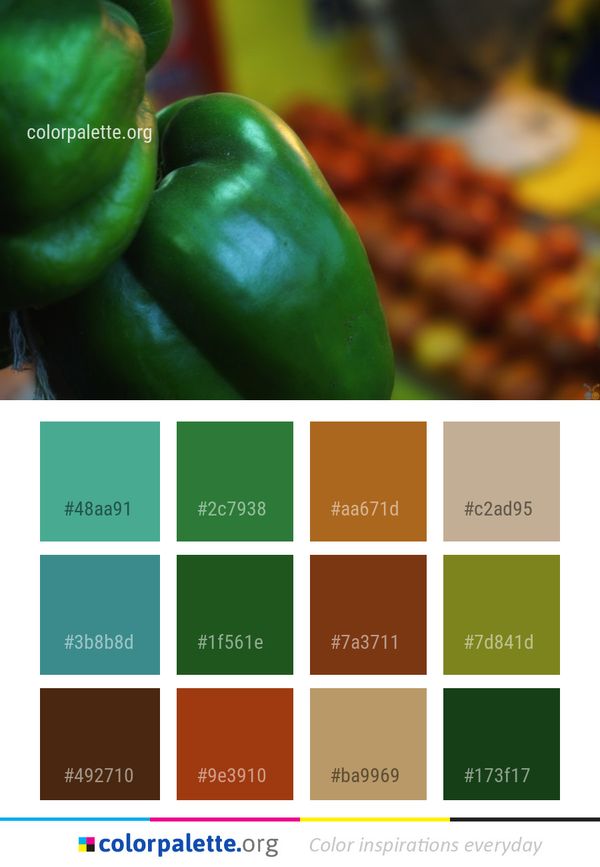 Green Vegetable Close Up Color Palette