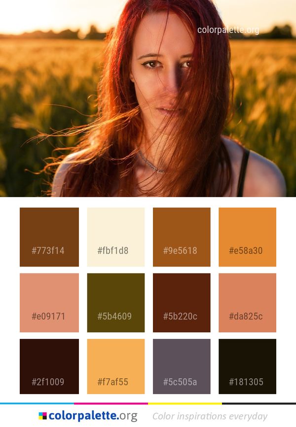 Hair Human Color Beauty Color Palette