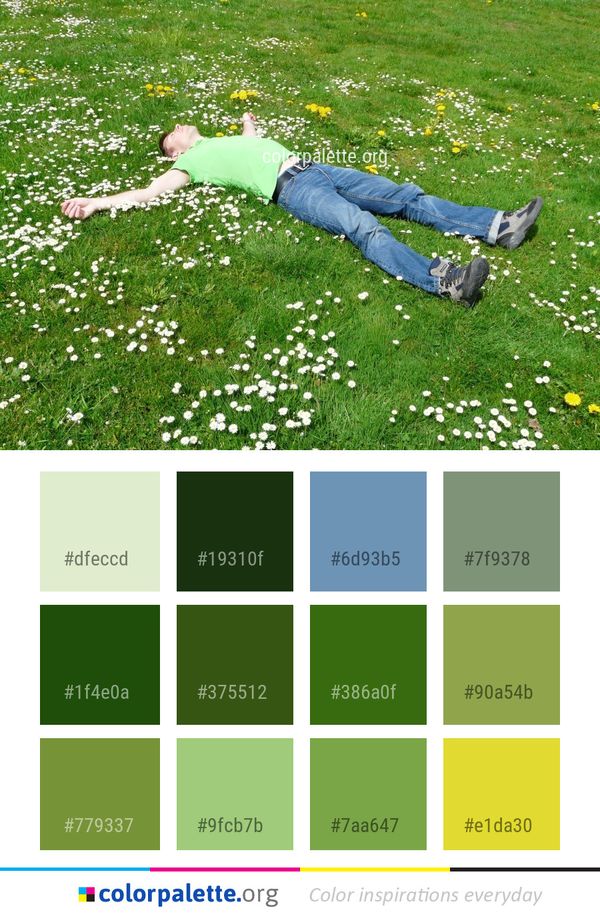 Plant Green Grass Color Palette
