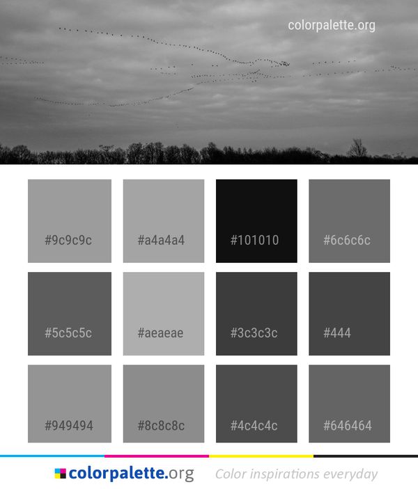 Sky Black And White Cloud Color Palette