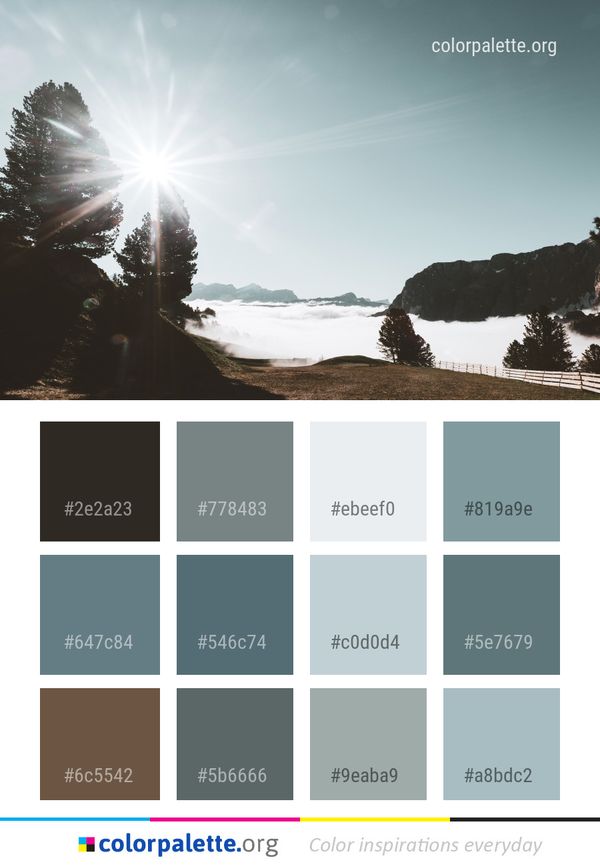 Sky Sea Tree Color Palette
