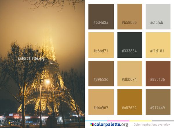 Sky Tree Woody Plant Color Palette