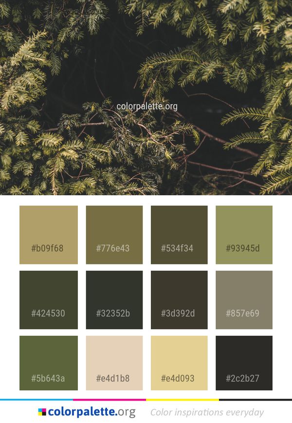 Vegetation Ecosystem Tree Color Palette