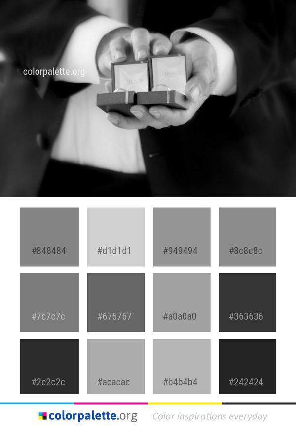White Black Photograph Color Palette