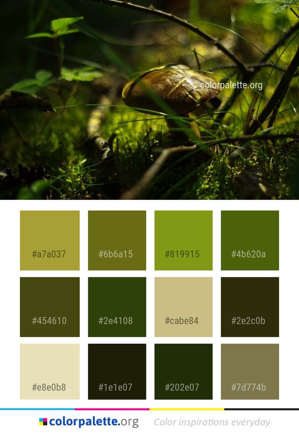 Ecosystem Fauna Vegetation Color Palette